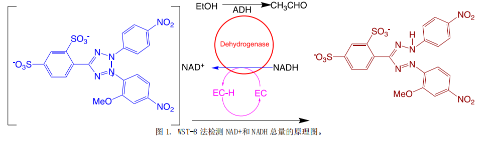 6acf2627eb565.png image.png